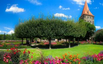 Garten in Nürnberg