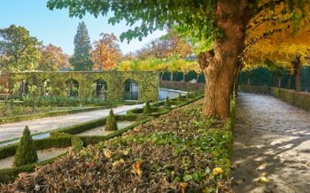 Park in Würzburg im Herbst