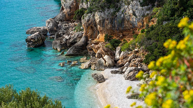 Platzhalter-Grafik_800x450_Sardinien