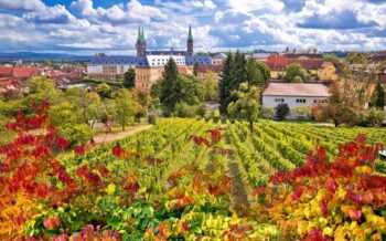 Weinbau in Bamberg