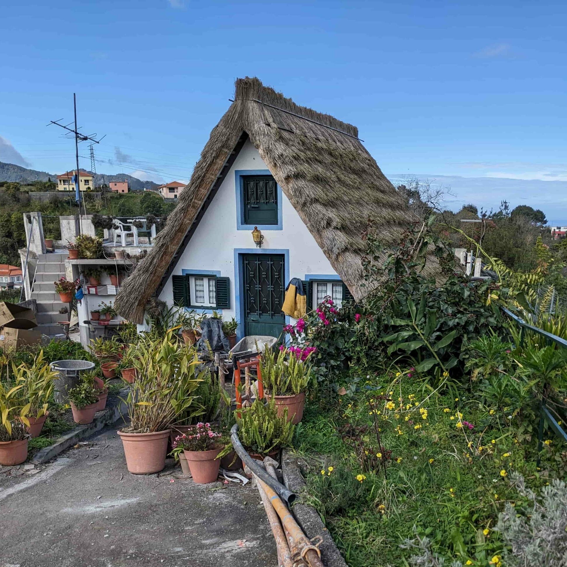 Fotos Madeira strohbedecktes Haus