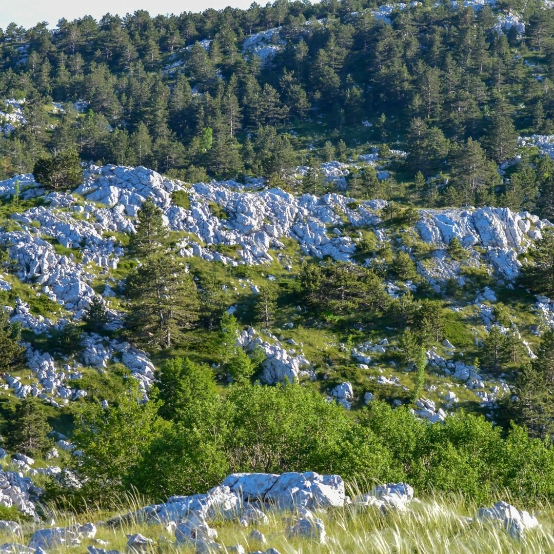 Nationalpark Biokovo-Gebirge