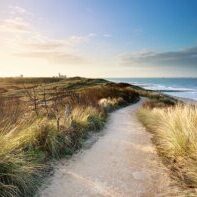 Platzhalter-Grafik_800x450_Nordsee-Niederlande