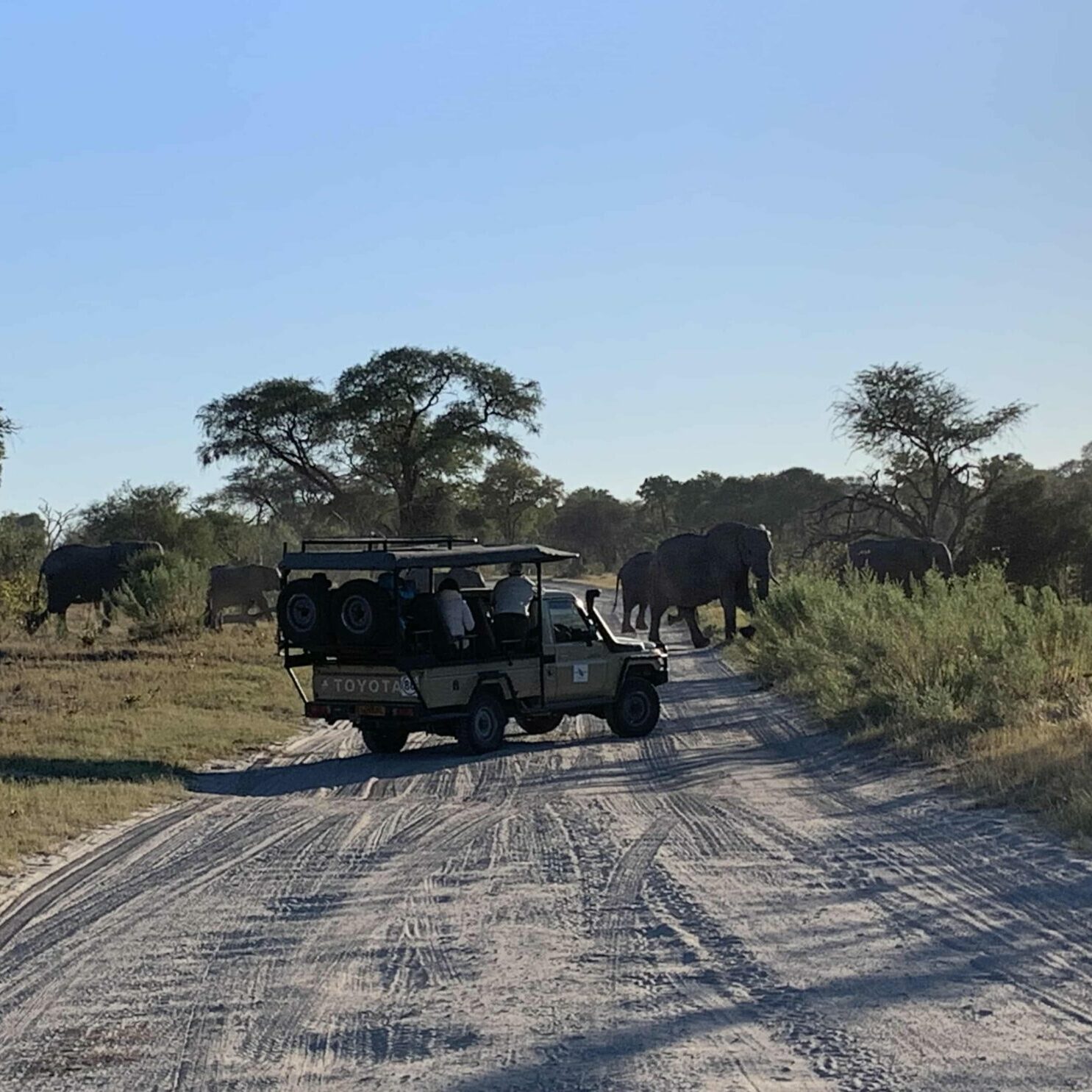 Reisegruppe auf Safari´