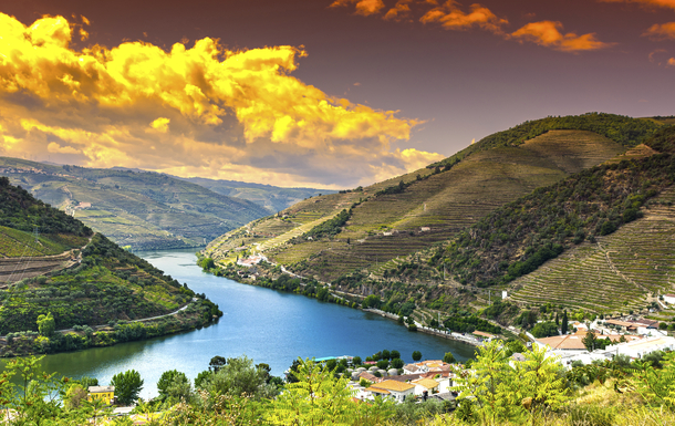 Portugal, Douro, Fluss, Weinberge, Olivenhainen