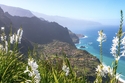 Madeira - Die Blumeninsel im Atlantik / NOZ, SHZ, D2C Bayern, OpM, AA