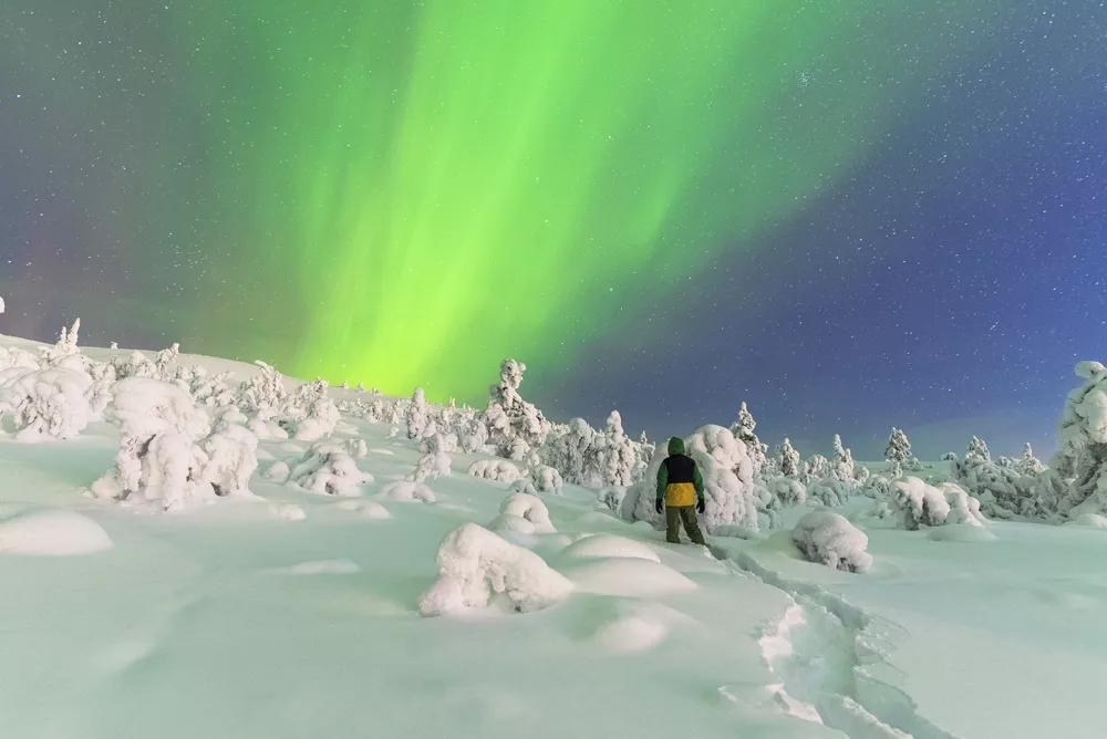 Nordlichter Lappland